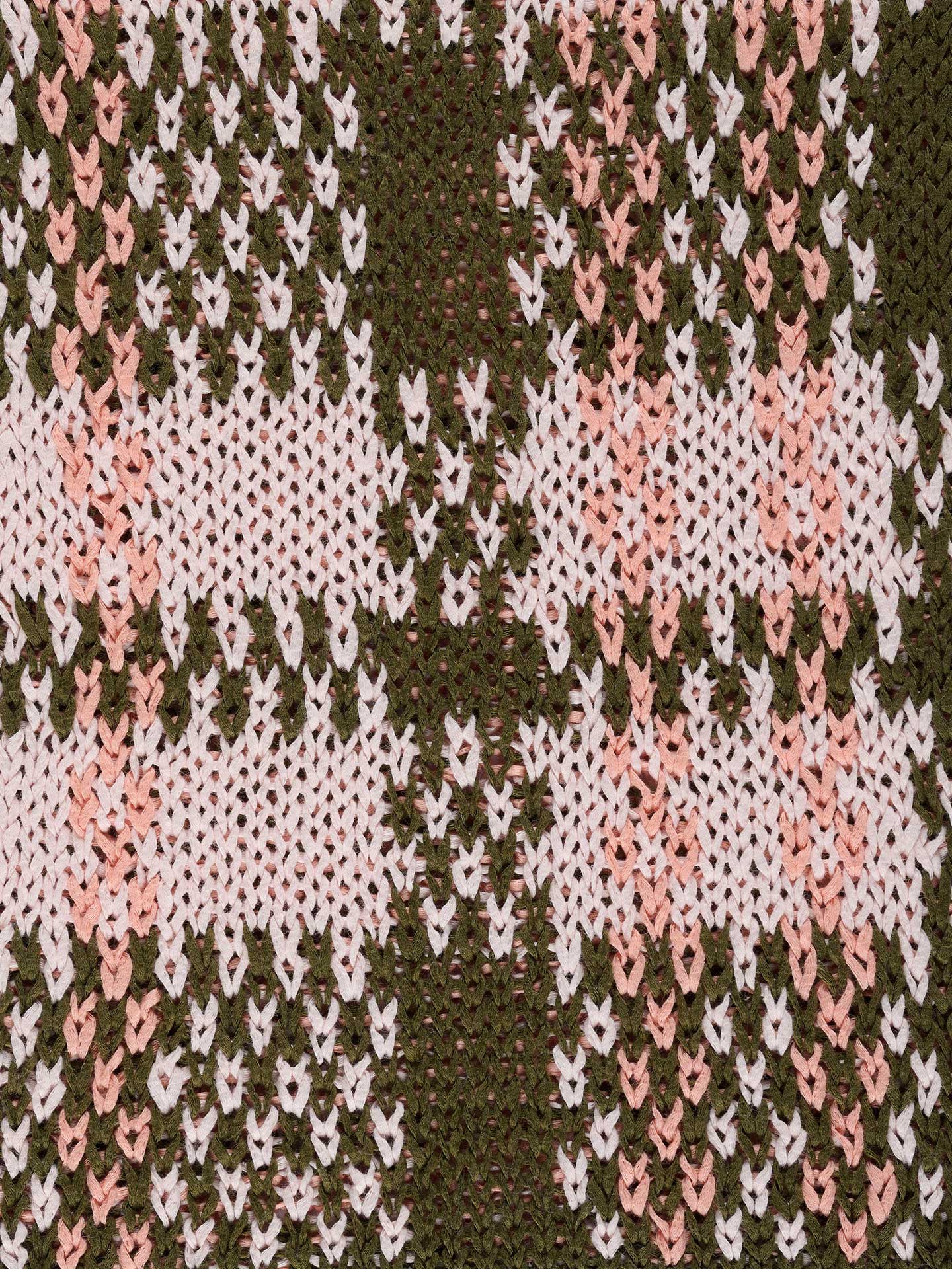 Biorafia PE27